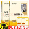骆驼祥子+钢铁是怎样炼成的  七年级下册必读名著人教版【套装2册】与26春新版初中语文教材配套使用人民教育出版社初一语文教材配套阅读 实拍图