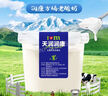 天润X PLUS会员联名款 新疆奶皮子桶装酸奶 低温风味发酵乳 880g*1桶 实拍图
