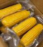 十月稻田 水果甜玉米 8根 3.52斤 真空开袋即食 低脂早餐 新年礼盒 粗粮 实拍图