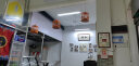 法耐（FANAI）鸟笼竹制画眉鸟笼竹鹦鹉鸟笼竹川笼画眉笼手工自制大号八哥鸟笼子 橘红色(笼子 全套配件) 晒单实拍图