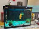 森森金麟超白玻璃鱼缸一体缸自循小型懒人家用水族箱LE-380 实拍图
