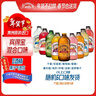 宾得宝（Bundaberg）含气饮料混合装375ml*6瓶 8口味随机发货 澳洲网红年货果汁气泡水 实拍图