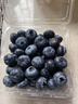 怡颗莓Driscoll's云南蓝莓Jumbo大果18mm+ 6盒约125g/盒 水果年货礼盒 实拍图