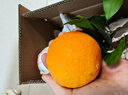 京配 甄选正宗爱媛38号果冻橙 时令水果橘子新老包装随机发货 带箱9斤大果【70-80mm】净重8.5斤 JD京东快递【当天采摘当天发货】 实拍图