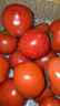 京鲜生 山东普罗旺斯番茄 净重4.5斤 单果125g+ 沙瓤西红柿 源头直发 实拍图