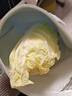 云南高原黄心娃娃菜农家自种新鲜大颗当季脆甜白菜 带箱2斤 净重1.8斤 实拍图