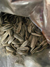 新货净重现炒熟瓜子大颗粒散装原味葵花仔特价生货批新鲜葵花子 【特大炒熟】1斤装原味瓜子 实拍图