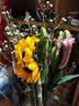 花艺湾鲜花同城配送玫瑰百合花束表白送女友老婆闺蜜生日礼物 9朵香槟6朵白百合1朵向日葵混搭 全国同城配送 留言送花日期 实拍图