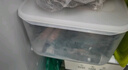 禧天龙冰箱保鲜盒食品级冰箱收纳盒塑料密封盒蔬菜水果冷冻盒 4.5L 3个 实拍图