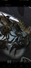 【活蟹】漁家师傅大闸蟹全母3.0-3.3两8只去绳足重鲜活螃蟹现货生鲜年货礼盒 源头直发 实拍图