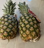 佳农 菲律宾进口菠萝 2个装 凤梨 单果净重2斤 生鲜水果源头直发 包邮 实拍图