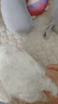 好奇（Huggies）铂金装小桃裤成长裤XL96片(12-17kg)加大号尿不湿【透爽散热】 实拍图