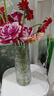吕姆克玻璃花瓶富贵竹玫瑰百合满天星透明花器干花插花瓶客厅装饰5326 实拍图