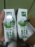伊利【新鲜日期】金典纯牛奶整箱 250ml*16盒 3.6g乳蛋白 年货礼盒装 实拍图