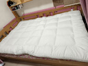 LOVO罗莱五星级酒店床垫 A类床褥子软垫子榻榻米学生宿舍1.35x2米 实拍图