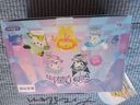 名创优品（MINISO）Sanrio characters梦幻独角兽搪胶毛绒盲盒玩具摆件生日礼物 单盒 实拍图