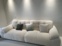 帕沙曼云朵沙发布艺可拆洗小户型客厅奶油风雪尼尔沙发多功能 2630ZF 【全拆洗款】2.8米大双人位#2900ZF 雪尼尔TY74: 羽绒+轻弹棉+紫罗兰+竹炭海绵 实拍图
