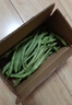 【东东买菜】新鲜四季豆无筋豆现摘豆青豆角炒菜农家当季蔬菜整箱 云南高山四季豆净重5斤【家庭实惠装】 实拍图