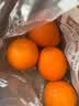 【整箱】树熟赣南脐橙铂金果3kg 单果180g 实拍图
