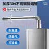 乐兰迪加厚304不锈钢燃气热水器排烟管烟囱弯头加长延长管耐高温烟道6cm弯头+装饰盖 L7007 实拍图