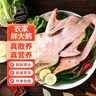 我老家整鹅生鲜鹅肉农家散养整只大白鹅杀后净重6.5-8斤 冷冻 源头直发 晒单实拍图