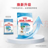 皇家狗粮幼犬奶糕幼犬狗粮宠物小型犬MIS30全价犬粮 ≤2月3KG 实拍图