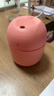 加湿器家用空气加湿器净化器香薰机空调房加湿器喷雾器usb静音卧室孕妇婴儿喷雾宿舍学生女生礼物 标准款【少女粉220ML+纳米雾化+静音加湿】 实拍图
