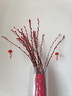 银柳真花鲜枝干花摆件室内客厅鲜花绿植新年年宵花卉植物过年春节 套装【60厘米20支+花瓶+2个灯笼 实拍图