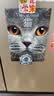 猫百科全书猫图鉴48种世界名猫图鉴猫动物图鉴猫咪书籍养猫指南养猫手册宠物书籍喂养猫的品种大全鉴赏猫咪家庭医学大百科猫咪 实拍图