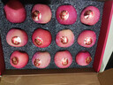 京鲜生山东红富士苹果12粒手提礼盒装 净重5斤单果180g起 源头直发包邮 实拍图