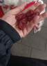 HELLOJOY宠物狗狗零食火腿肠泰迪金毛幼犬成犬训练奖励 鸭肉香肠360g 实拍图