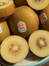 佳沛（zespri）意大利 阳光金奇异果12粒年货礼盒特大果单果约122-146g 猕猴桃 实拍图