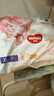 好奇（Huggies）皇家小龙裤拉拉裤XL64片(12-17kg)尿不湿【30倍爆吸】 实拍图