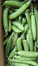 新鲜甜豌豆农家自种新鲜蔬菜豆角豆米现摘现发豌豆荚 净重9斤 实拍图