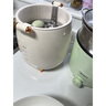 RASW德国煮蛋器蒸锅一体早餐机蒸蛋器家用小型煮蛋神器智能自动断电定时预约多功能早餐机溏心蛋保温 三层 【绿色旗舰款】赠不锈钢蒸蛋架和蒸蛋盘 实拍图