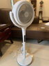 松下空气循环扇家用直流变频电风扇落地扇3D立体广角送风 新品上市循环扇F-CW1901C-W 实拍图