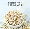 柴火大院 薏仁米 1kg 薏米仁 小粒薏米 红豆薏米水 煮水煲汤煮粥 五谷杂粮 实拍图