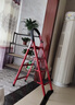 忆琳居梯子家用安全人字梯折叠梯伸缩多功能楼梯便捷扶梯加厚红色四步 实拍图