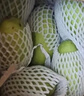 壹萌果蔬金煌芒芒果 当季现摘广西大芒果新鲜水果水仙青芒果整箱送礼 9斤臻品果【软糯香甜】净8斤 实拍图