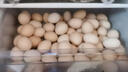 京鲜生柴鸡蛋30枚 3斤 无抗生素 谷物喂养鲜鸡蛋 源头直发 实拍图