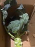 轻食西兰花绿色花菜花椰菜减脂低卡新鲜蔬菜产地批发 新鲜青花1斤【西兰花】 实拍图