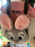 迪士尼（Disney）疯狂动物城朱迪萌友同行单肩包可爱玩偶包实用大容量兔子玩偶包 实拍图