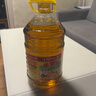 鲁花 【保真菜籽油】食用油 低芥酸特香菜籽油 6.18L   物理压榨 实拍图
