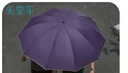 天堂 加大雨伞三折 晴雨两用商务伞10骨大雨伞男女 紫兰 实拍图