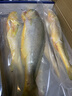 鲜京采 冷冻三去黄花鱼(宁德大黄鱼)1700g (5条装)  礼盒 生鲜海鱼  实拍图