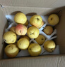 樱慕晴【JD地标认证】正宗辽宁鞍山南果梨东北特产南国梨香水梨新鲜水果 【普装大果黄梨】约24枚 4.5斤 实拍图