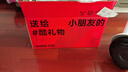 九号（Ninebot）电动平衡车代步电动车腿控智能礼物双轮腿控体感L6白色定制礼盒款 实拍图