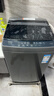海尔（Haier）全自动波轮洗衣机8KG小型 家用宿舍出租房 家电国家补贴以旧换新京东自营XQB80-Z10D0 实拍图