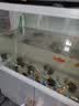 瓦克德国瓦克DA防霉胶瓦克121水族馆鱼缸胶酸性胶玻璃胶速干胶 瓦克121透明300ML-无工具 实拍图