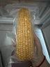 十月稻田 黄甜糯玉米 8根 3.52斤 真空包装 东北粘玉米棒 低脂早餐 实拍图